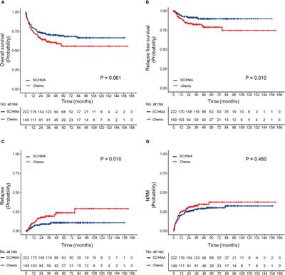 Appropriate pre-transplant strategy for patients with myelodysplastic syndromes receiving allogeneic haematopoietic stem cell transplantation after myeloablative conditioning